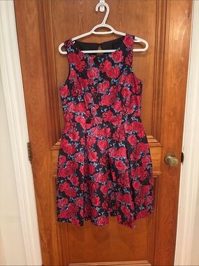 Gabby Skye Black Mini Dress with Red Floral Print